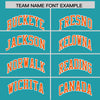 Custom Aqua American Flag Varsity Full-Snap Authentic Raglan Sleeves Letterman Bomber Jacket