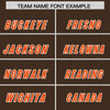Custom Brown White Retro Personalized Sleeve Line Authentic Football Jersey