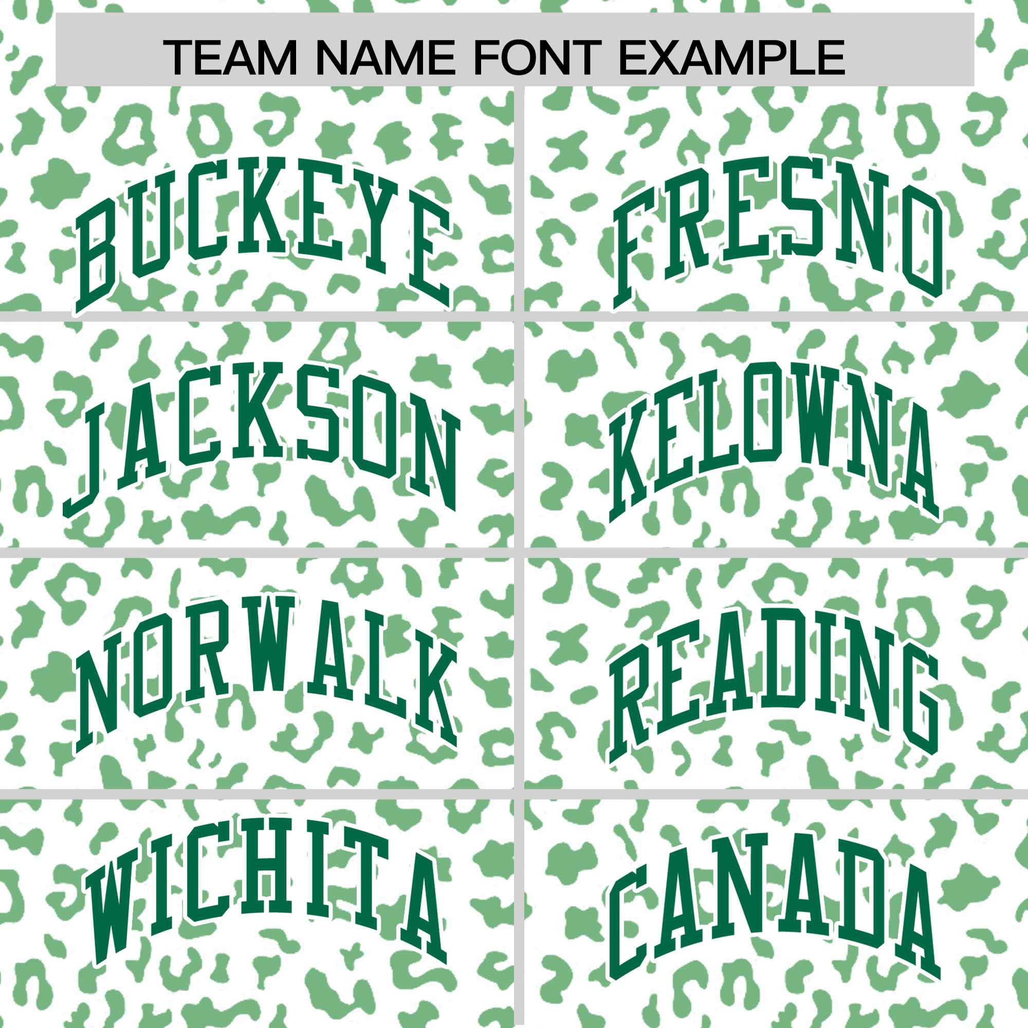 Custom White Kelly Green Varsity Full-Zip Letterman Leopard Print Jacket Hoodie