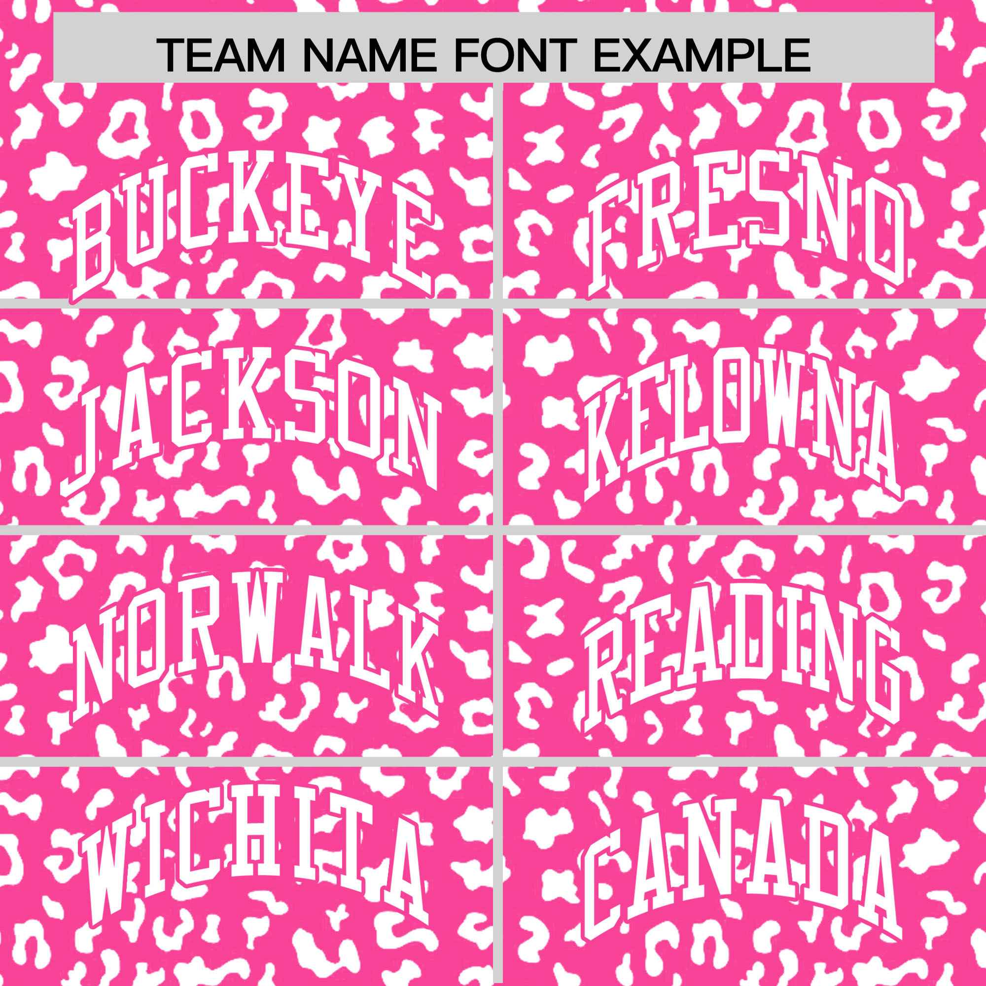 Custom Pink White Varsity Full-Zip Letterman Leopard Print Jacket Hoodie