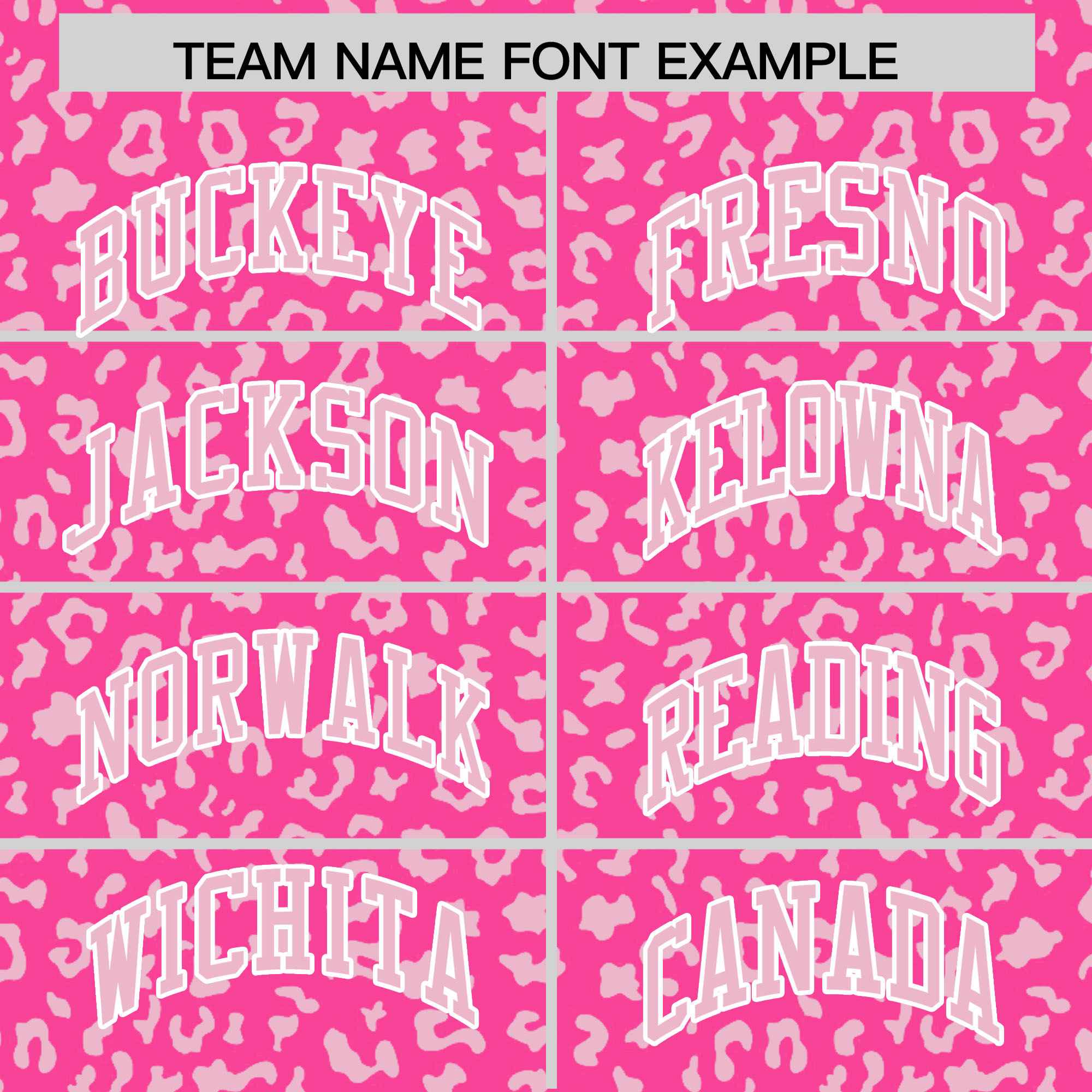 Custom Pink Light Pink Varsity Full-Zip Letterman Leopard Print Jacket Hoodie