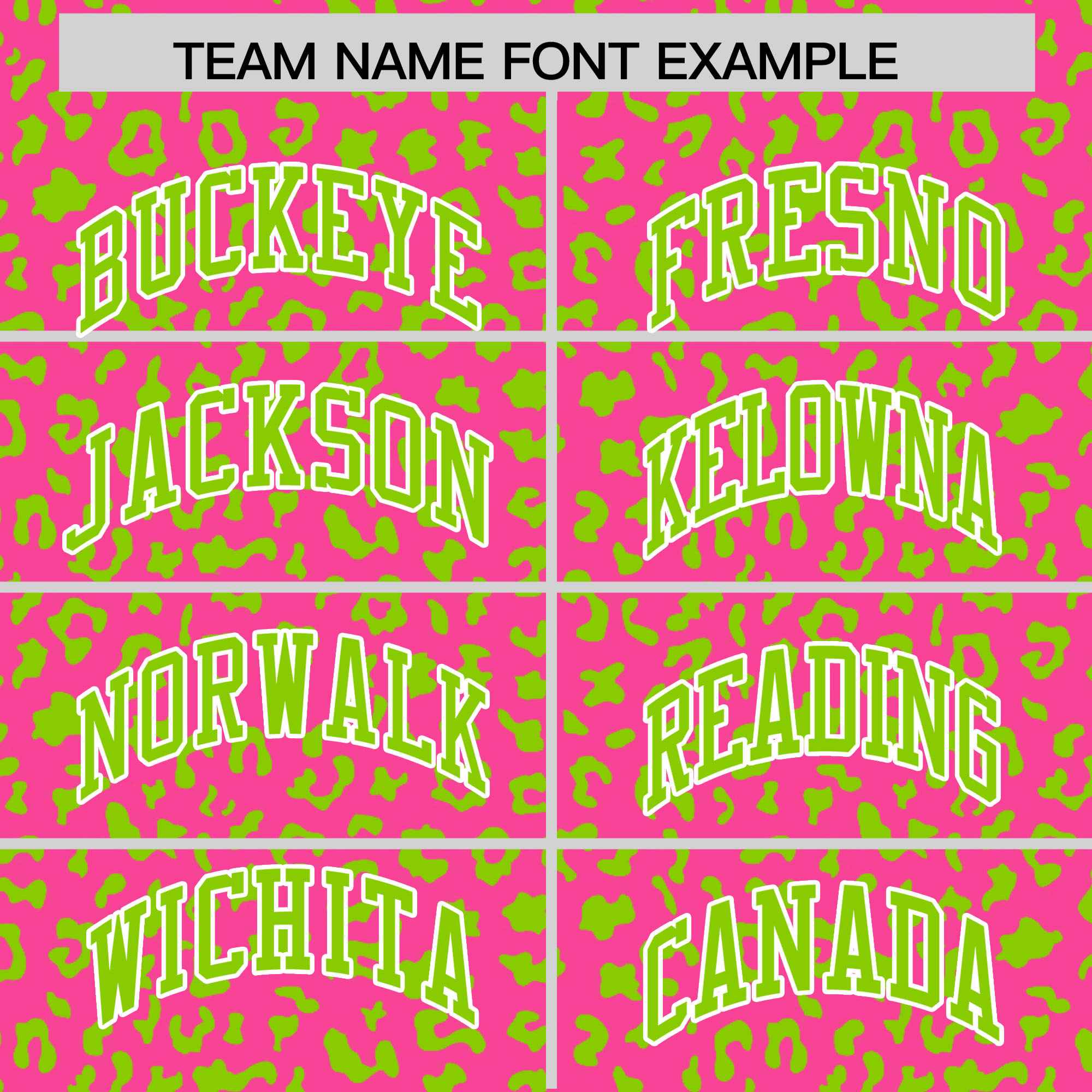 Custom Pink Neon Green Varsity Full-Zip Letterman Leopard Print Jacket Hoodie