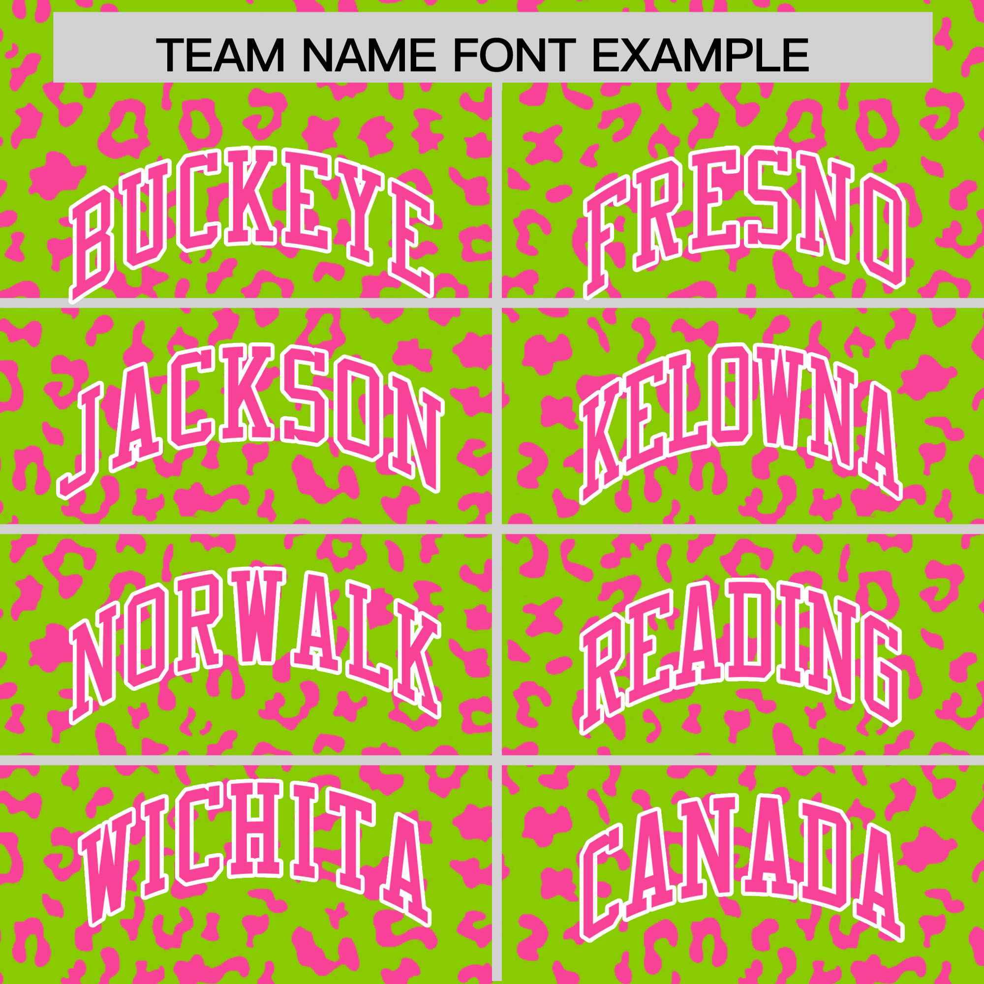 Custom White Kelly Green Varsity Full-Zip Letterman Leopard Print Jacket Hoodie