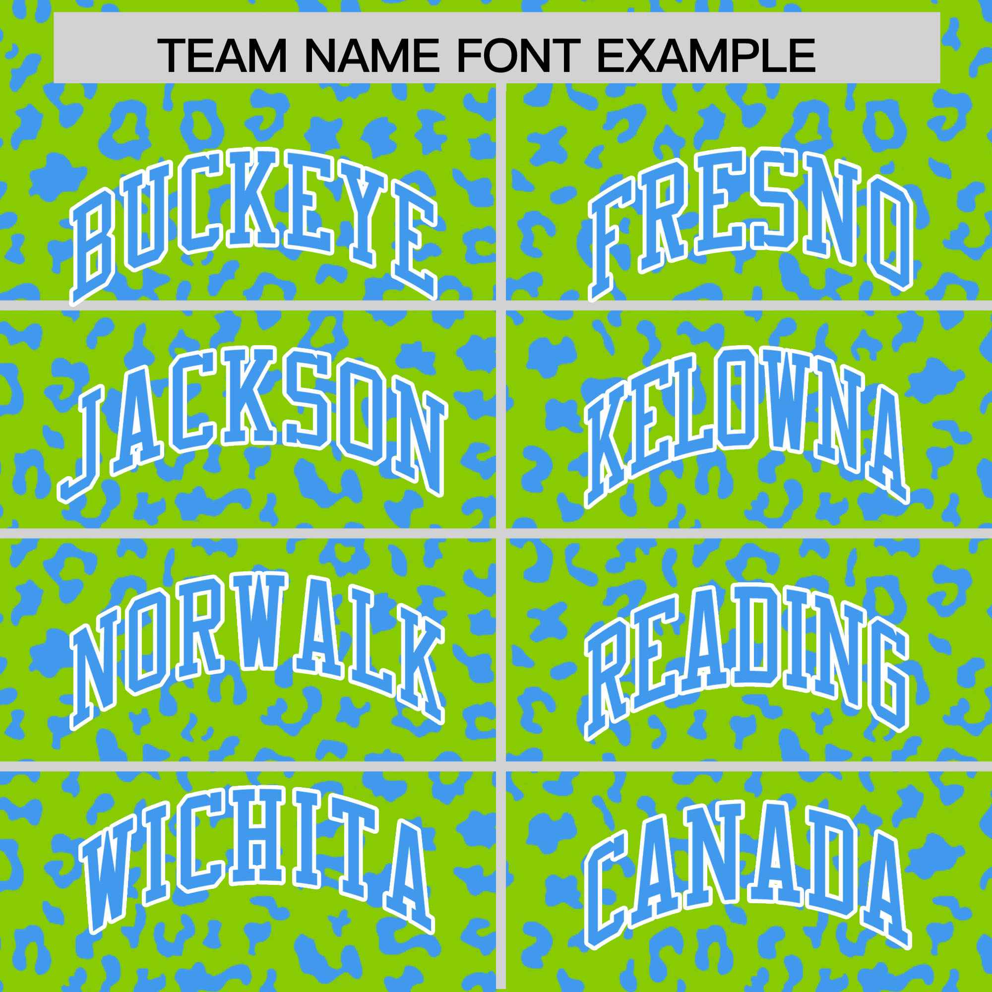 Custom Neon Green Powder Blue Varsity Full-Zip Letterman Leopard Print Jacket Hoodie