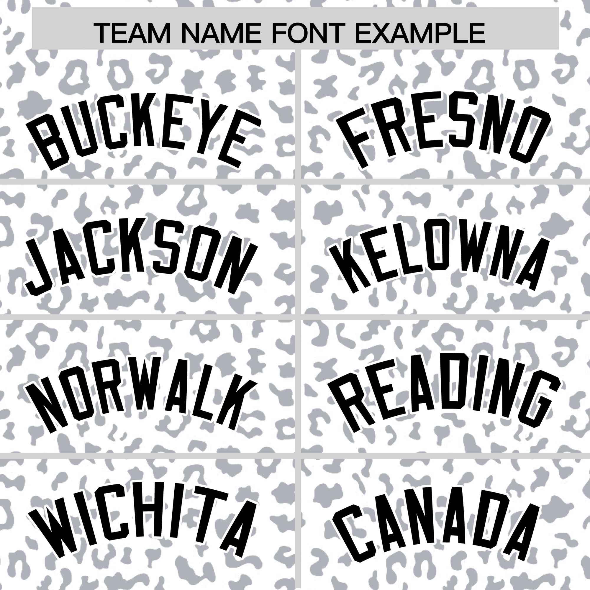 Custom White Black Varsity Full-Zip Letterman Leopard Print Jacket Hoodie