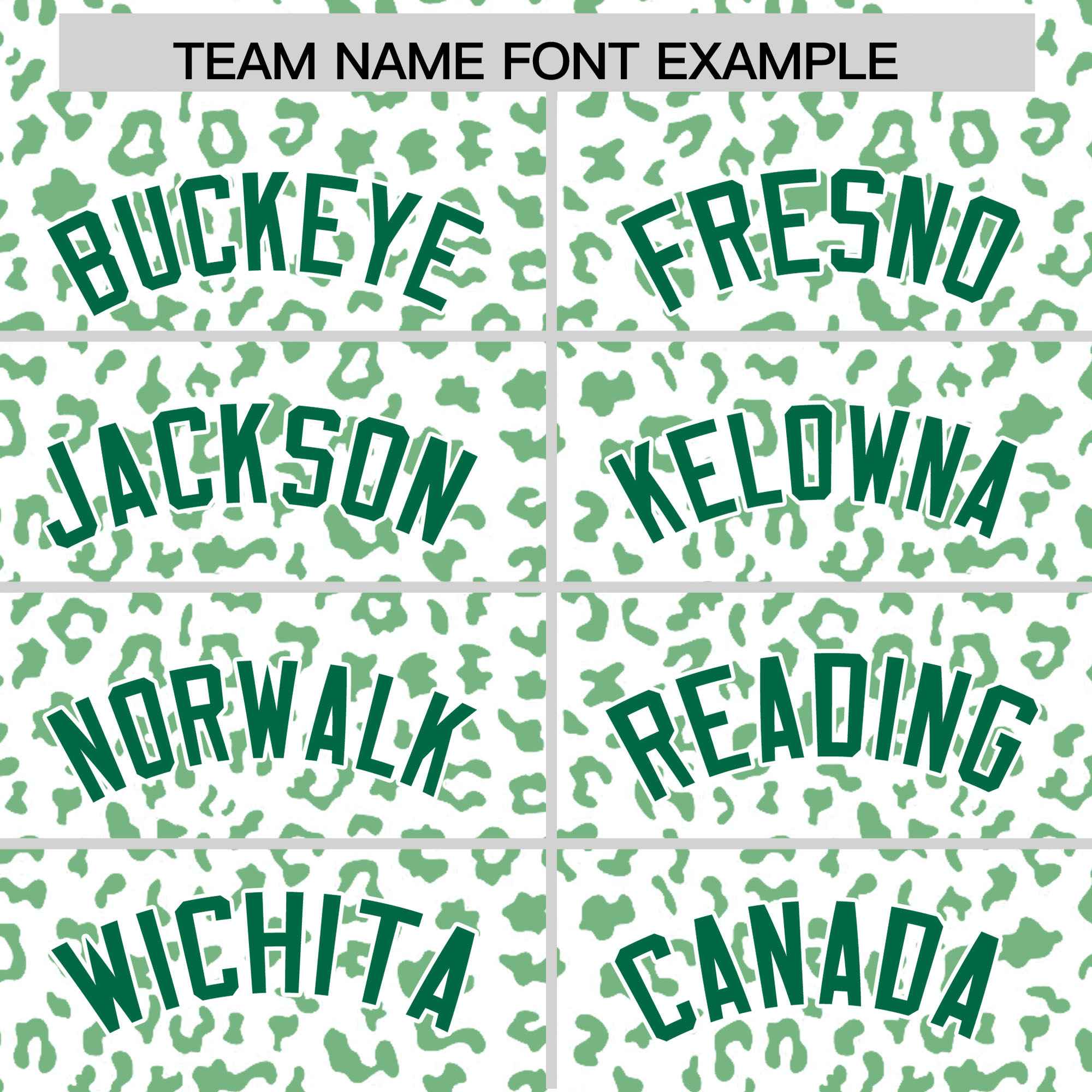 Custom White Kelly Green Varsity Full-Zip Letterman Leopard Print Jacket Hoodie