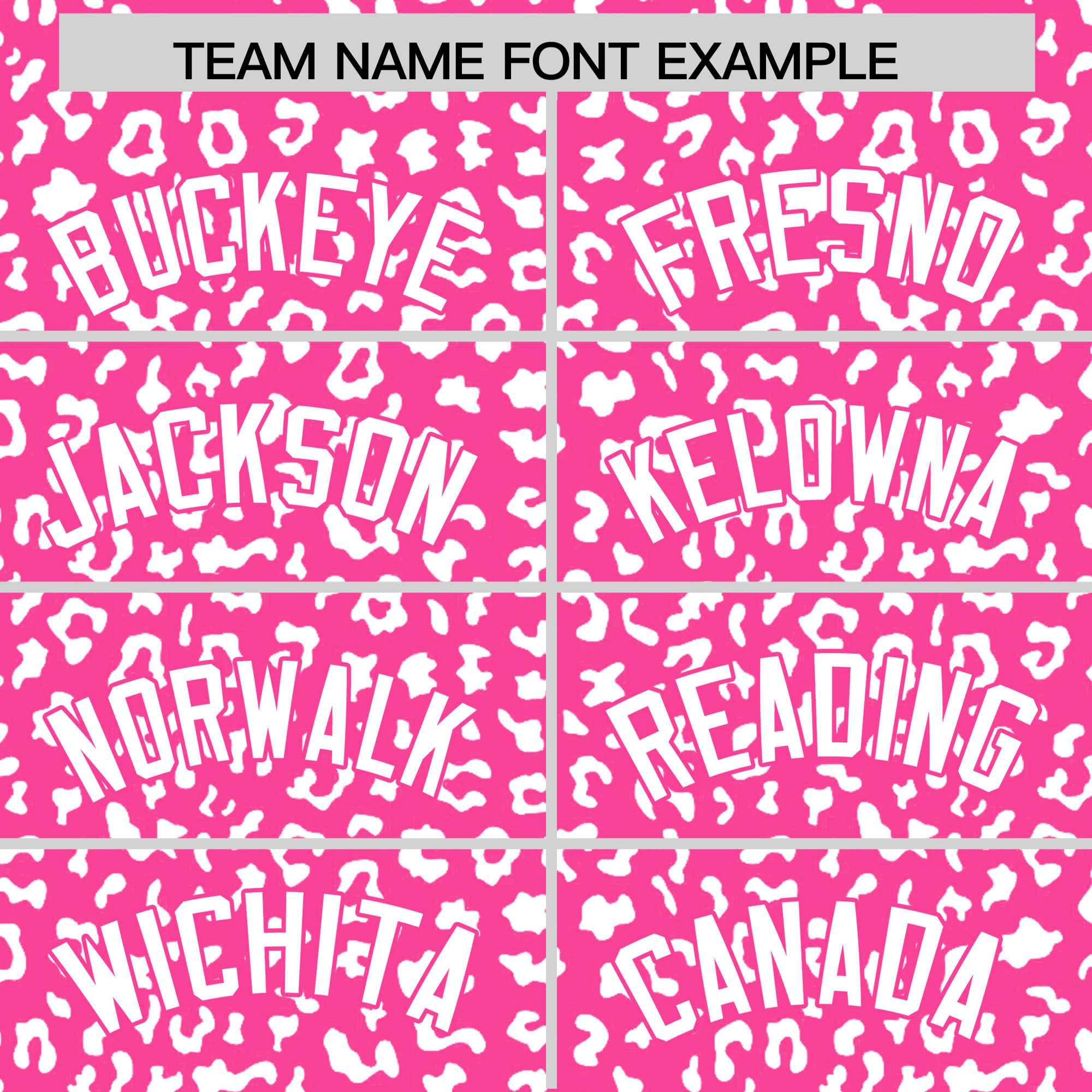 Custom Pink White Varsity Full-Zip Letterman Leopard Print Jacket Hoodie