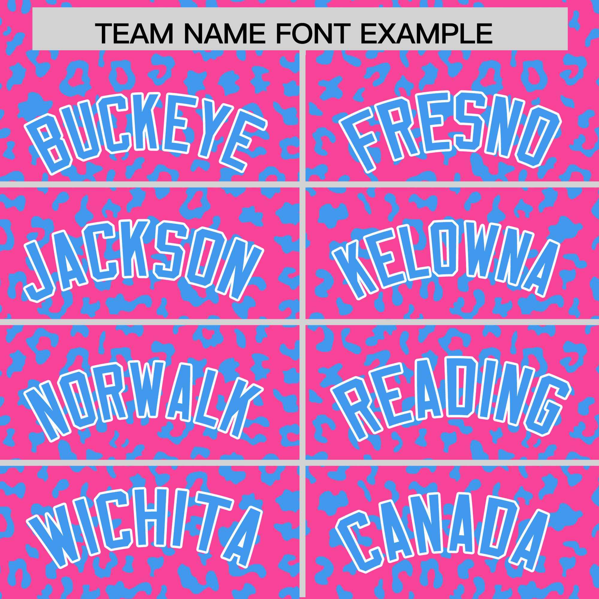 Custom Pink Powder Blue Varsity Full-Zip Letterman Leopard Print Jacket Hoodie