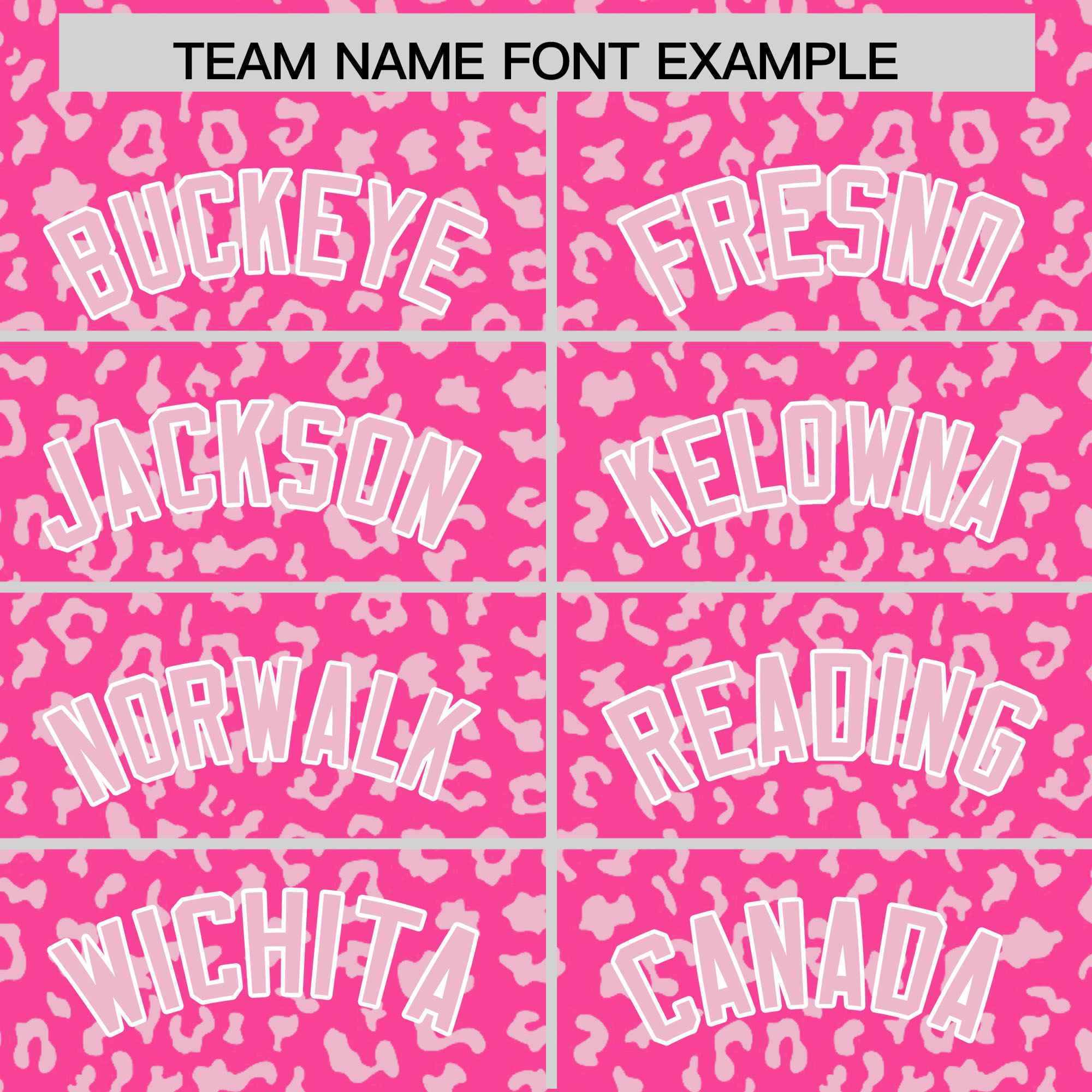 Custom Pink Light Pink Varsity Full-Zip Letterman Leopard Print Jacket Hoodie