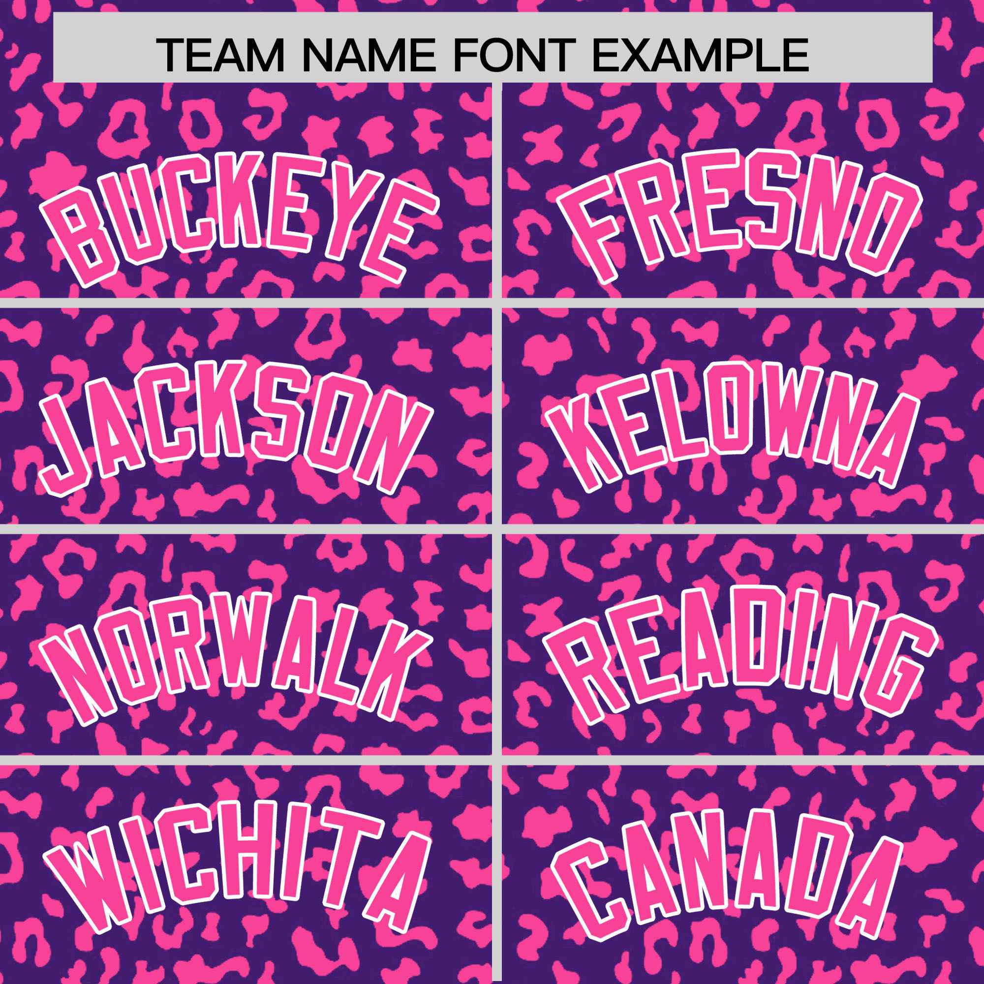 Custom Purple Pink Varsity Full-Zip Letterman Leopard Print Jacket Hoodie