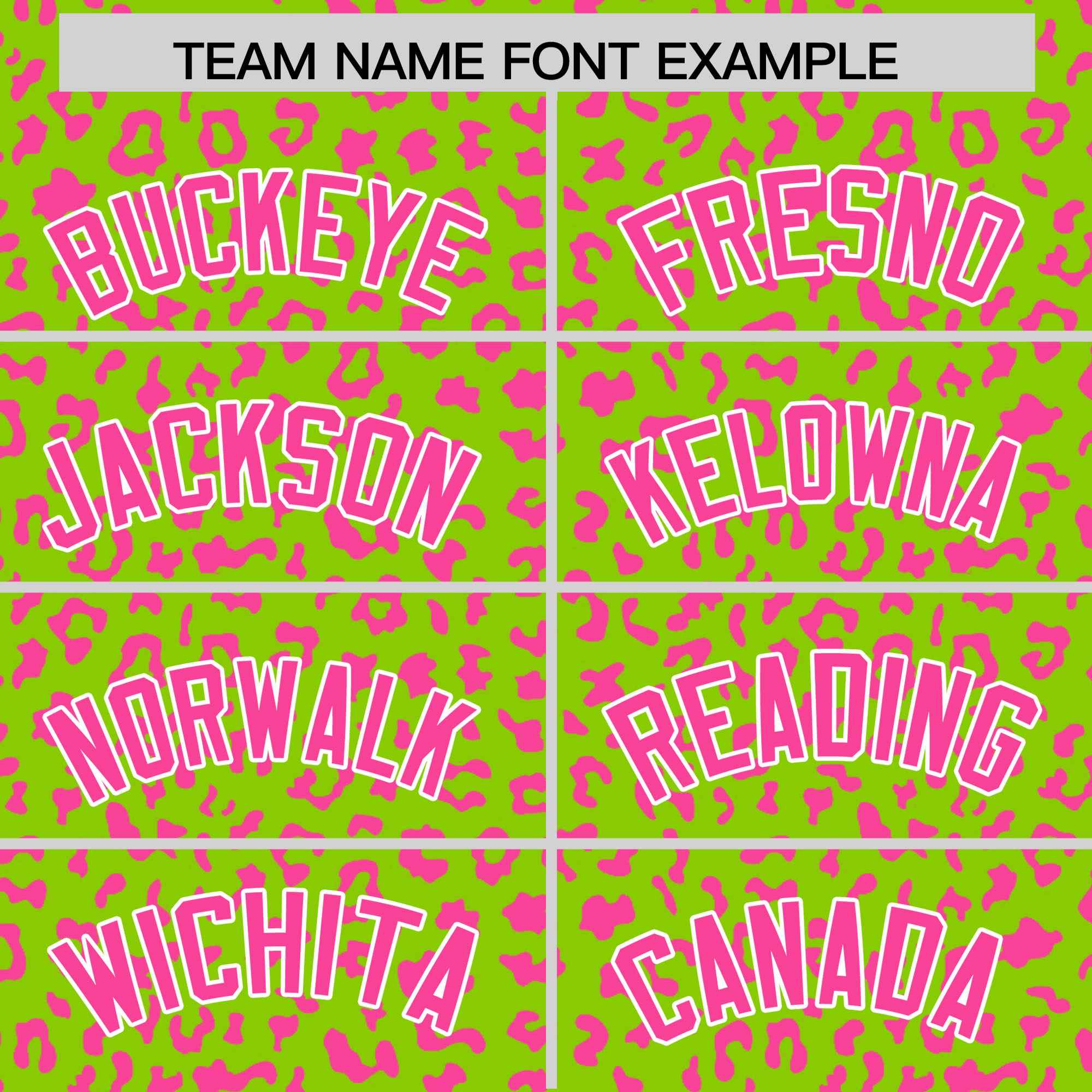 Custom Neon Green Pink Varsity Full-Zip Letterman Leopard Print Jacket Hoodie