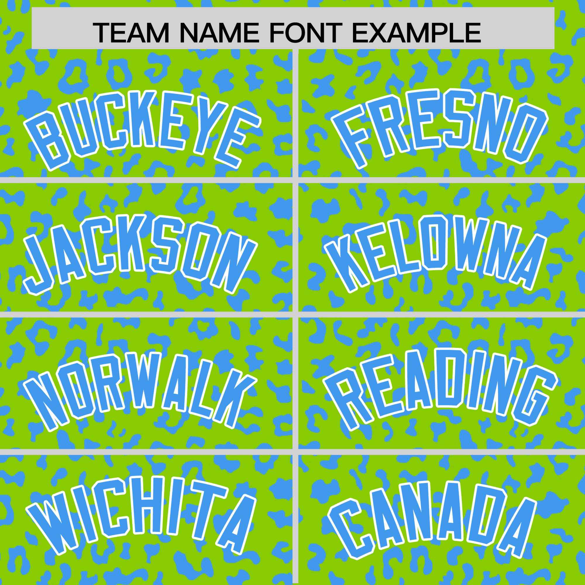 Custom Neon Green Powder Blue Varsity Full-Zip Letterman Leopard Print Jacket Hoodie