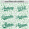 Custom White Kelly Green Varsity Full-Zip Letterman Leopard Print Jacket Hoodie
