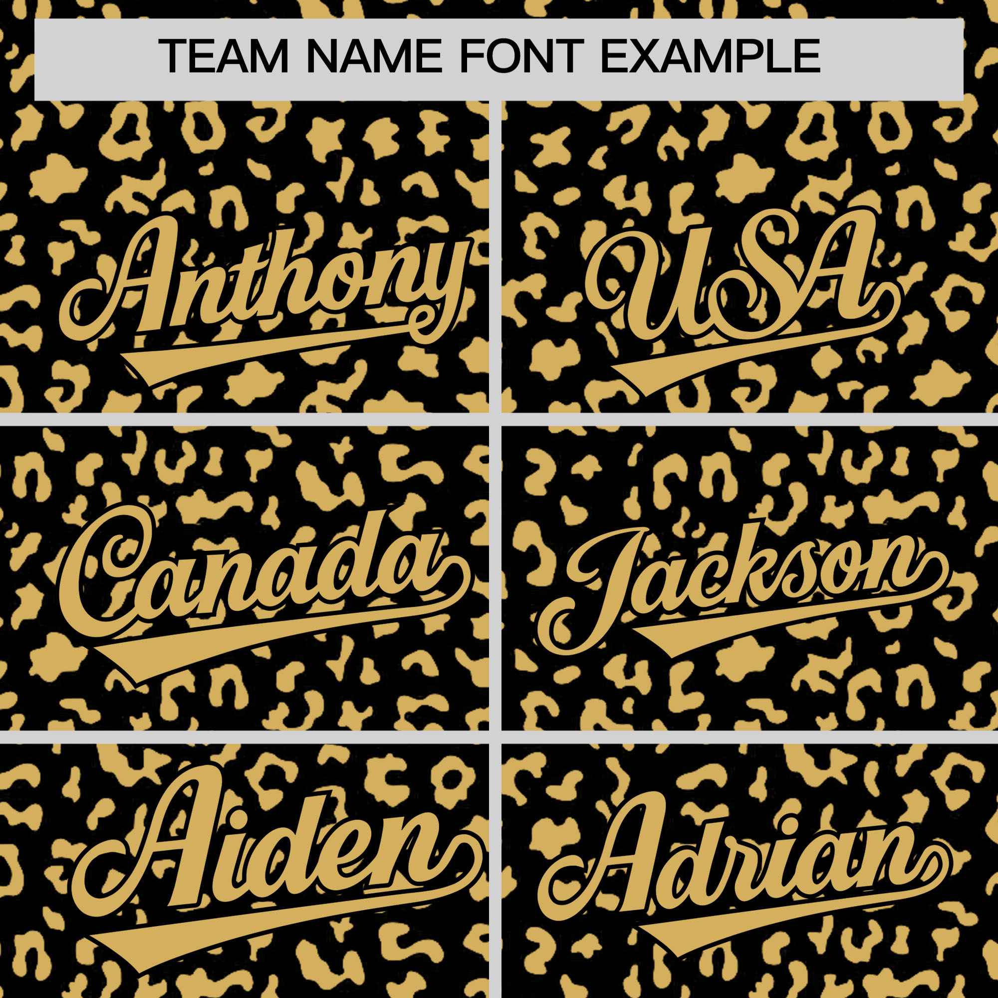 Custom Pink White Varsity Full-Zip Letterman Leopard Print Jacket Hoodie