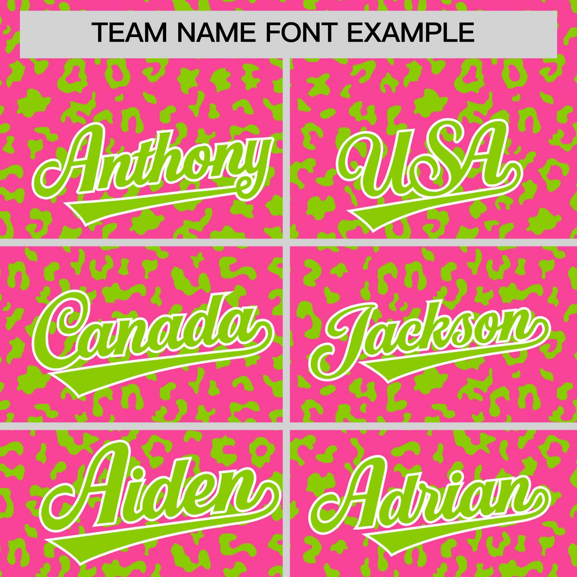 Custom Pink Neon Green Varsity Full-Zip Letterman Leopard Print Jacket Hoodie