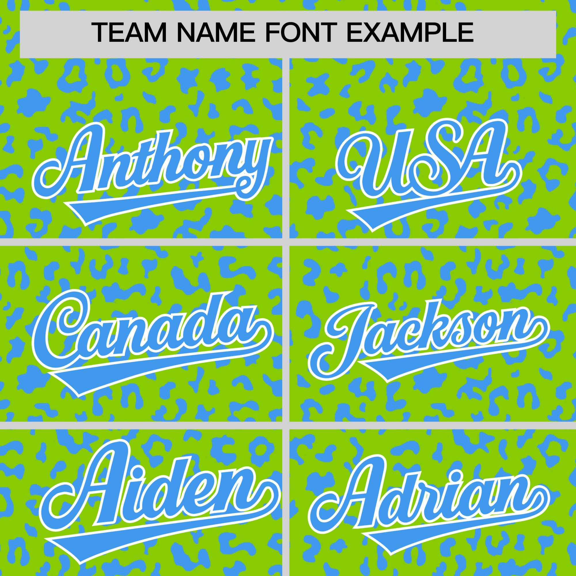 Custom White Kelly Green Varsity Full-Zip Letterman Leopard Print Jacket Hoodie