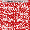 Custom Red White Varsity Full-Zip Letterman Leopard Print Jacket Hoodie
