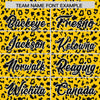 Custom Gold Black Varsity Full-Zip Letterman Leopard Print Jacket Hoodie