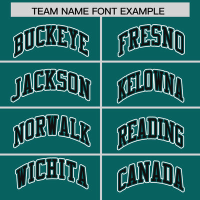 Custom Aqua Black Raglan Sleeves Varsity Full-Snap Letterman Two Tone Jacket Hoodie