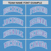 Custom Powder Blue Light Purple Raglan Sleeves Varsity Full-Snap Letterman Two Tone Jacket Hoodie