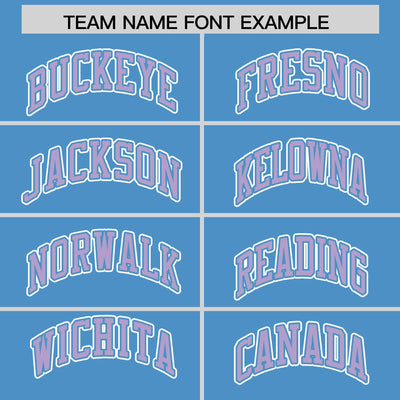 Custom Powder Blue Light Purple Raglan Sleeves Varsity Full-Snap Letterman Two Tone Jacket Hoodie