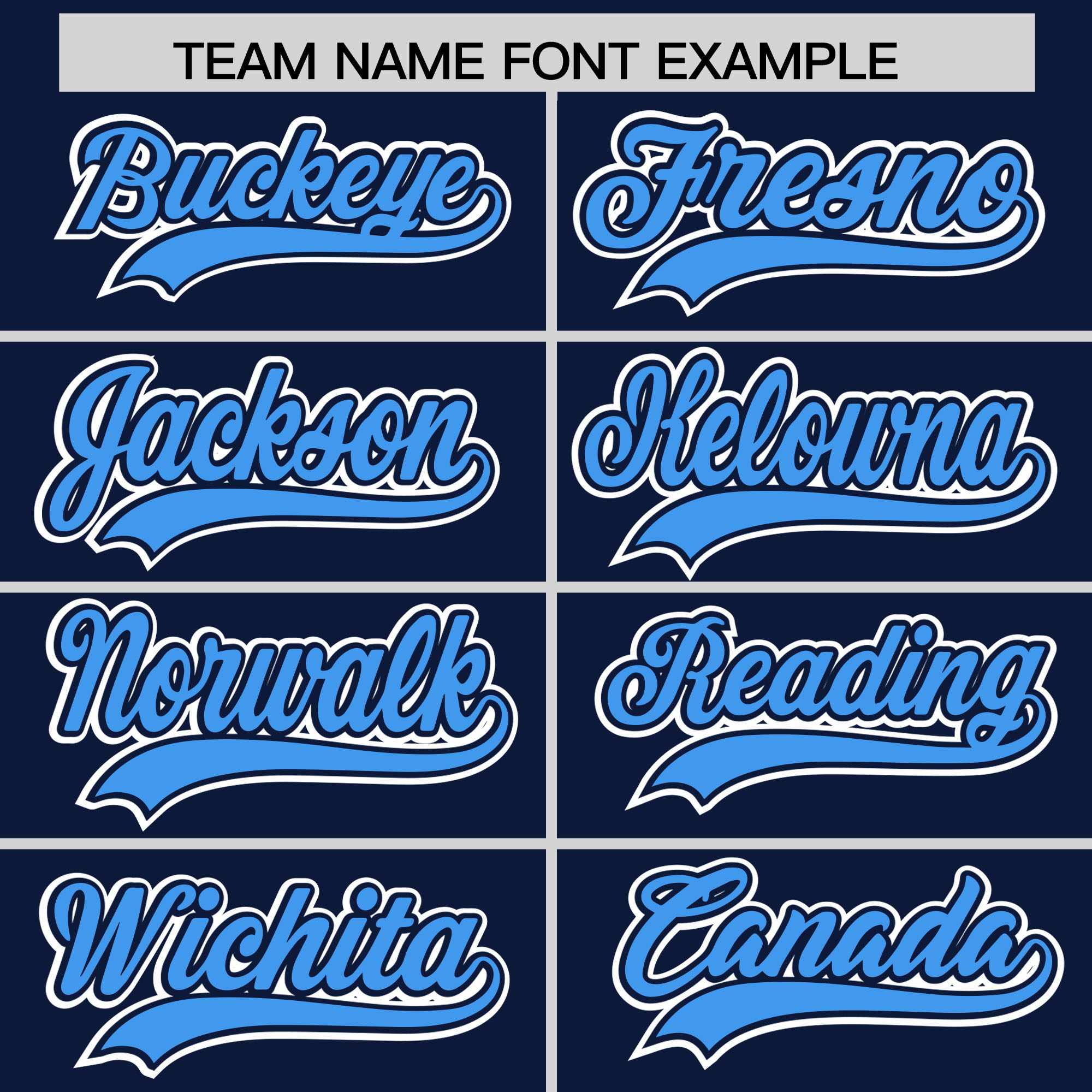 Custom Navy Powder Blue Raglan Sleeves Varsity Full-Snap Letterman Two Tone Jacket Hoodie