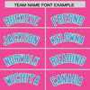 Custom Pink Green-Powder Blue Raglan Sleeves Varsity Full-Snap Letterman Two Tone Jacket Hoodie