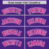 Custom Purple Pink Raglan Sleeves Varsity Full-Snap Letterman Two Tone Jacket Hoodie