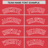 Custom Light Red White Raglan Sleeves Varsity Full-Snap Letterman Two Tone Jacket Hoodie