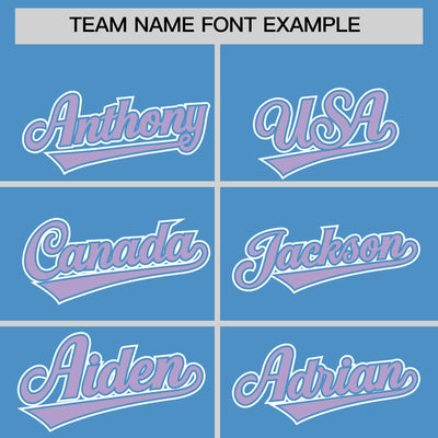Custom Powder Blue Light Purple Raglan Sleeves Varsity Full-Snap Letterman Two Tone Jacket Hoodie