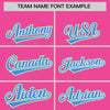Custom Pink Green-Powder Blue Raglan Sleeves Varsity Full-Snap Letterman Two Tone Jacket Hoodie