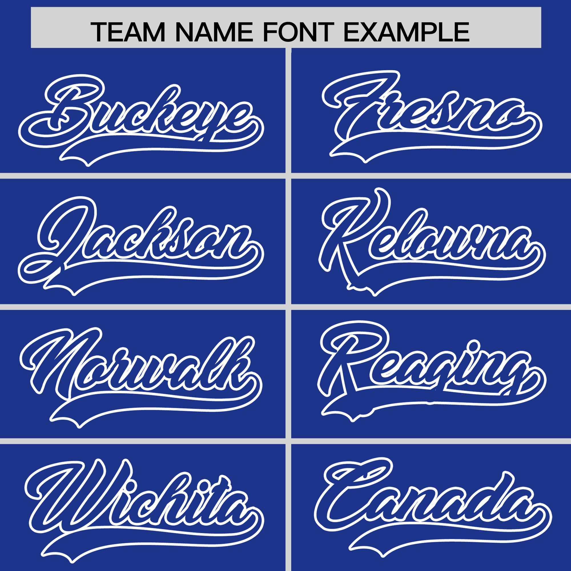 Custom Royal White Raglan Sleeves Varsity Full-Snap Letterman Two Tone Jacket Hoodie