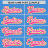 Custom Powder Blue Gold-Pink Raglan Sleeves Varsity Full-Snap Letterman Two Tone Jacket Hoodie