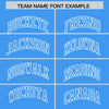 Custom White Powder Blue Split Fashion Varsity Full-Snap Letterman Two Tone Jacket Hoodie