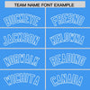 Custom White Powder Blue Split Fashion Varsity Full-Snap Letterman Two Tone Jacket Hoodie
