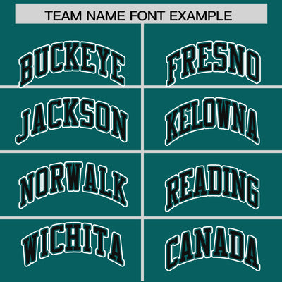 Custom Aqua Black Raglan Sleeves Varsity Full-Snap Letterman Two Tone Jacket Hoodie